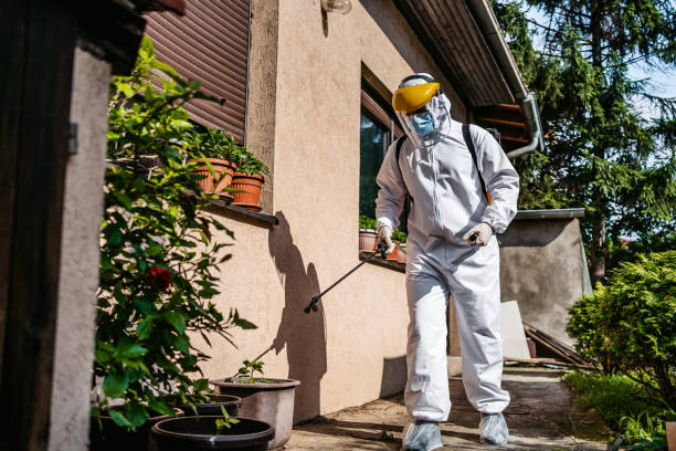 Reliable Spokane, WA Pest Control Solutions