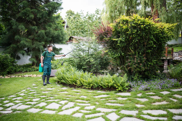 Best Wasp Removal Services  in Spokane, WA