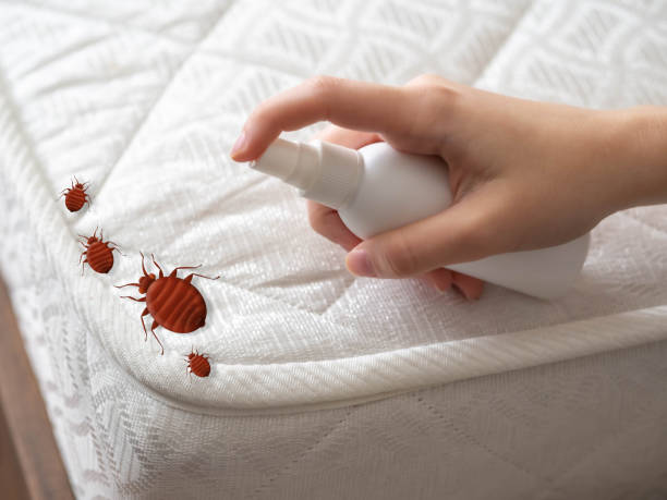 Best Pest Control Near Me  in Spokane, WA