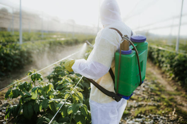 Best Pest Removal Services  in Spokane, WA